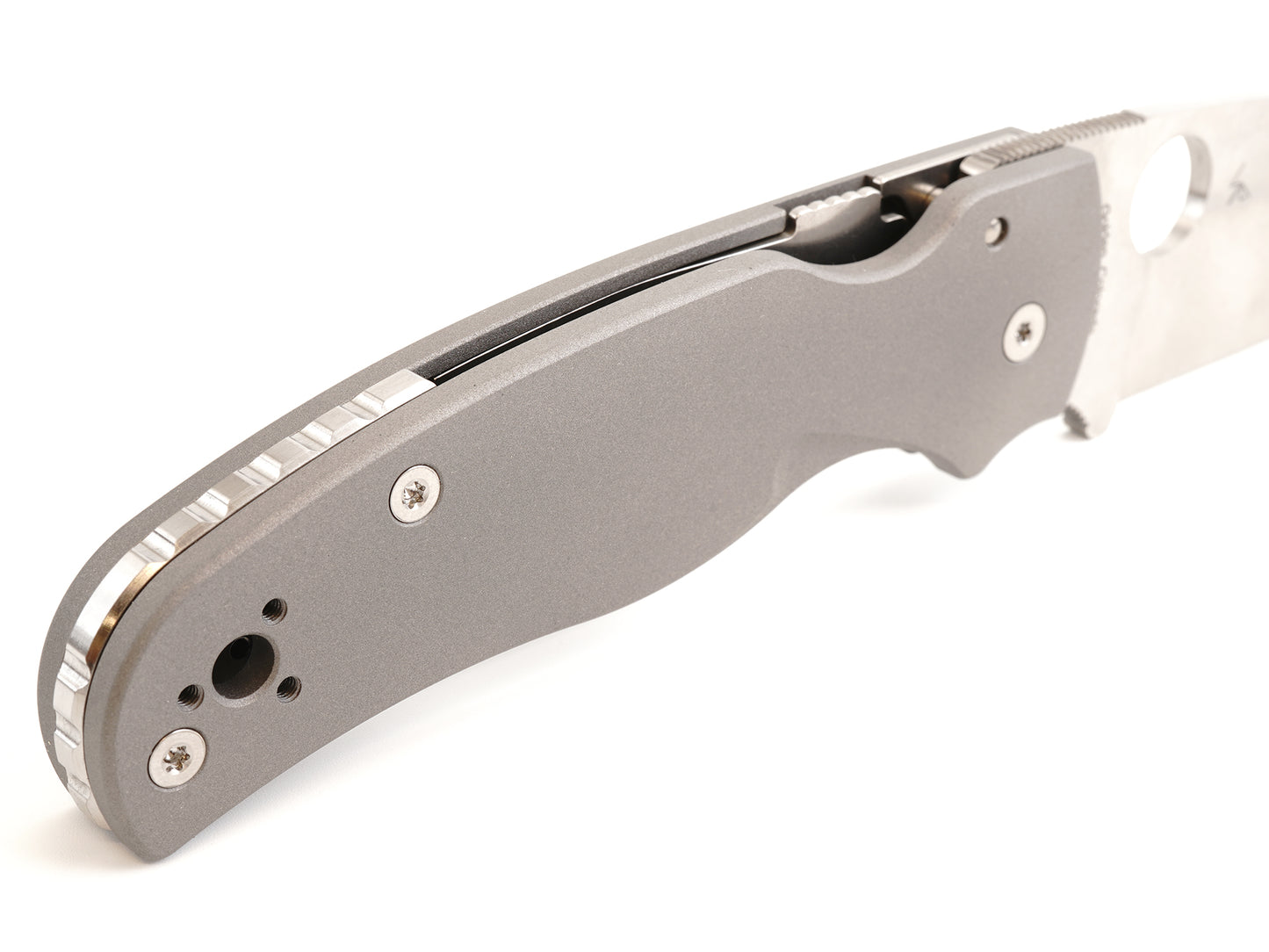 Titanium Scales for Spyderco Shaman