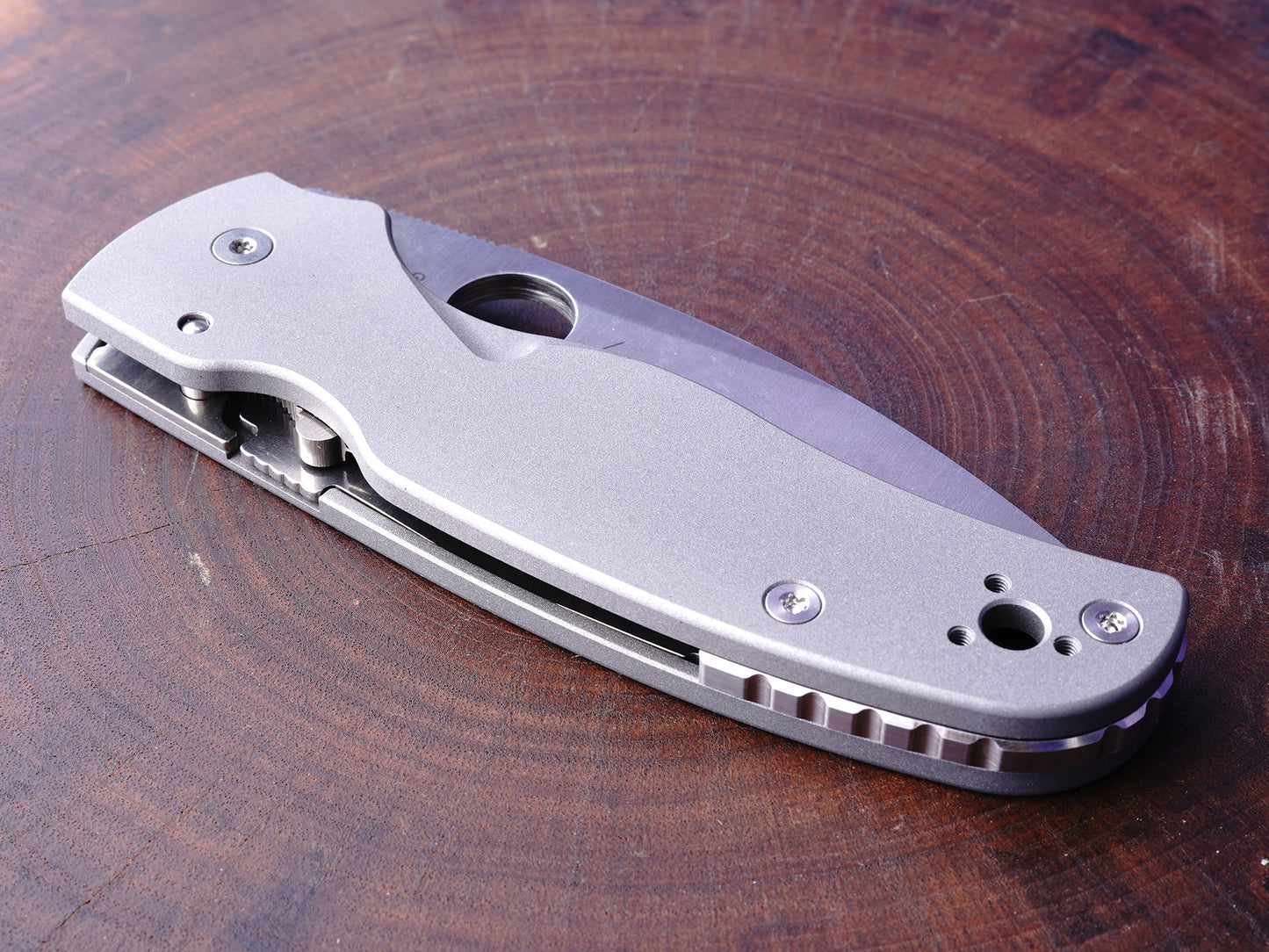 Titanium Scales for Spyderco Shaman