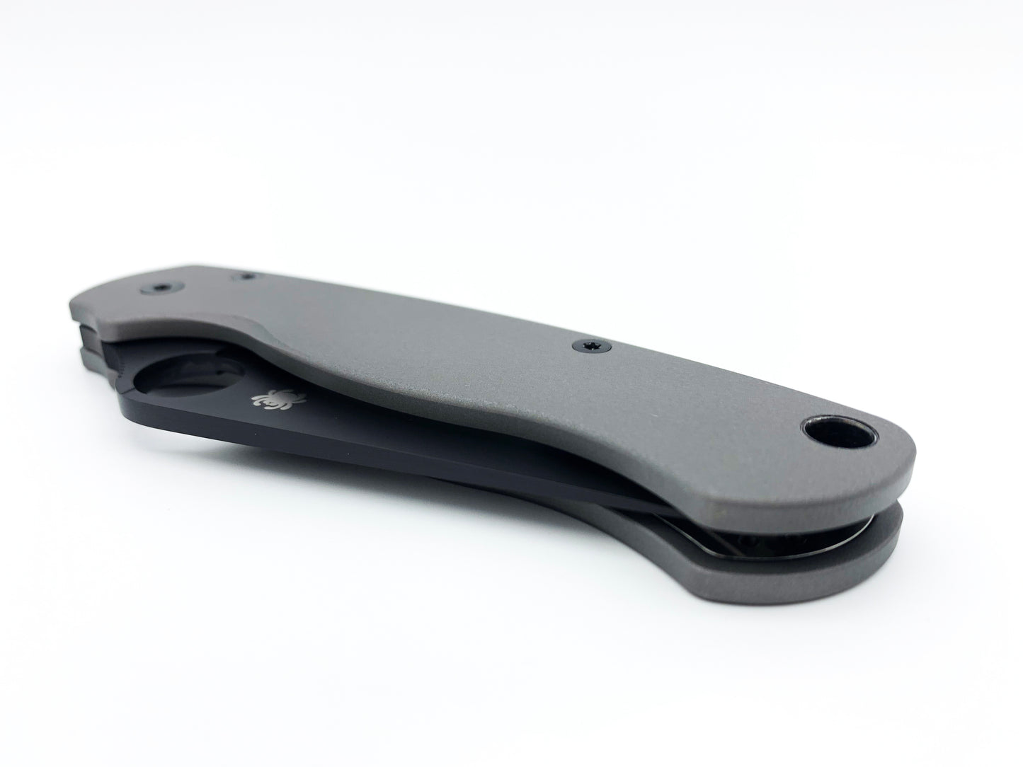 Titanium Scales for Spyderco PM2