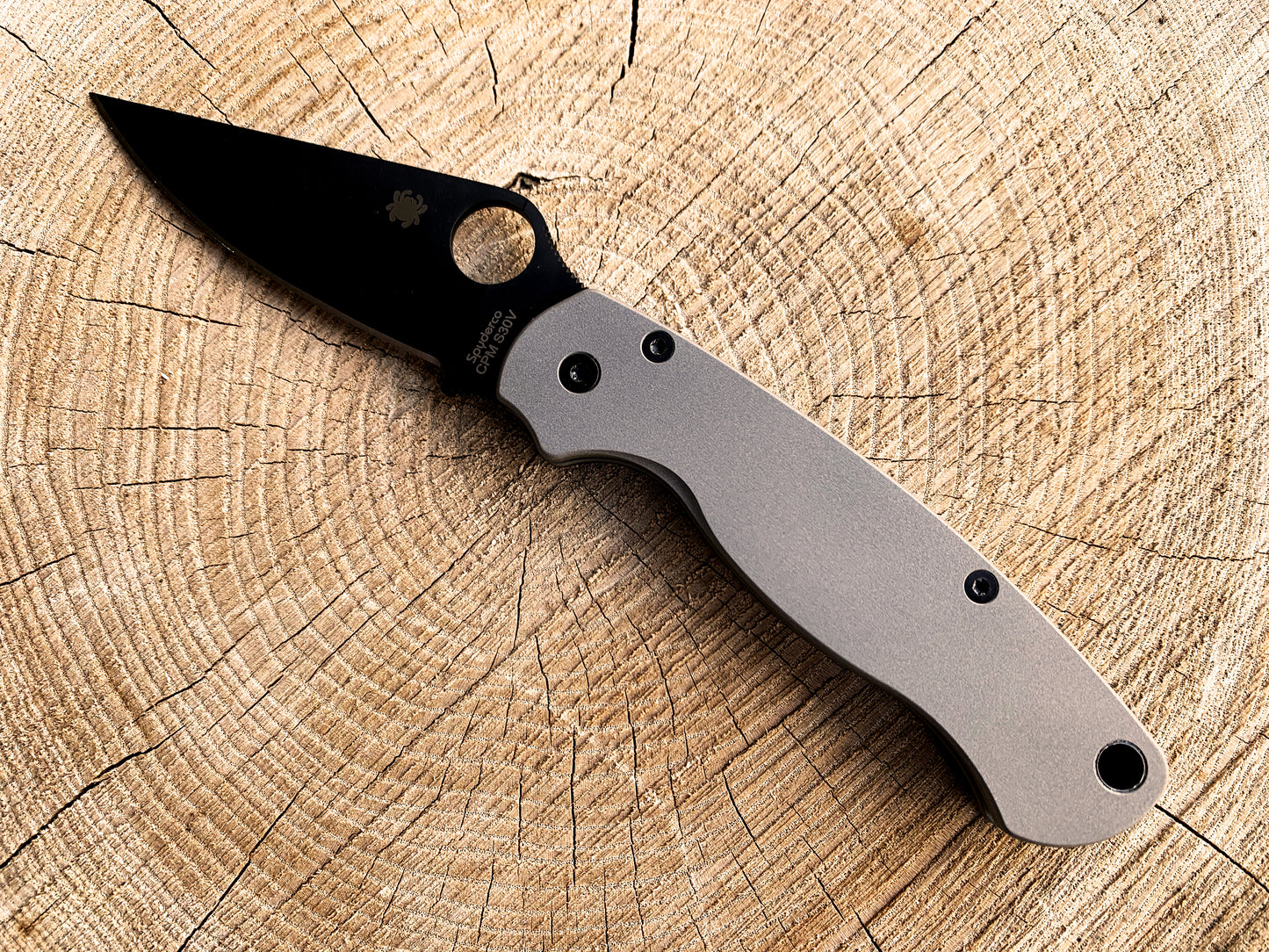Titanium Scales for Spyderco PM2