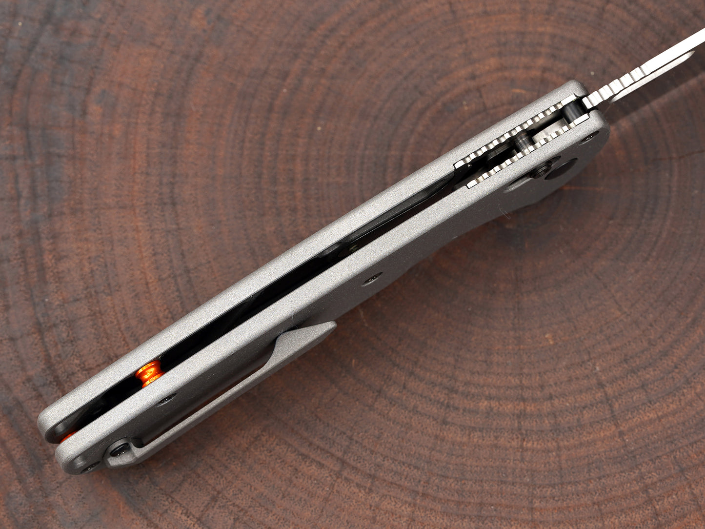 Titanium Scales for Benchmade Taggedout 15535