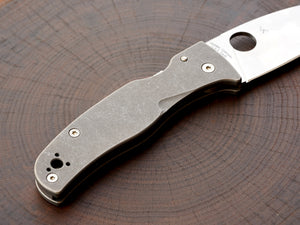 Titanium Scales for Spyderco Bodacious