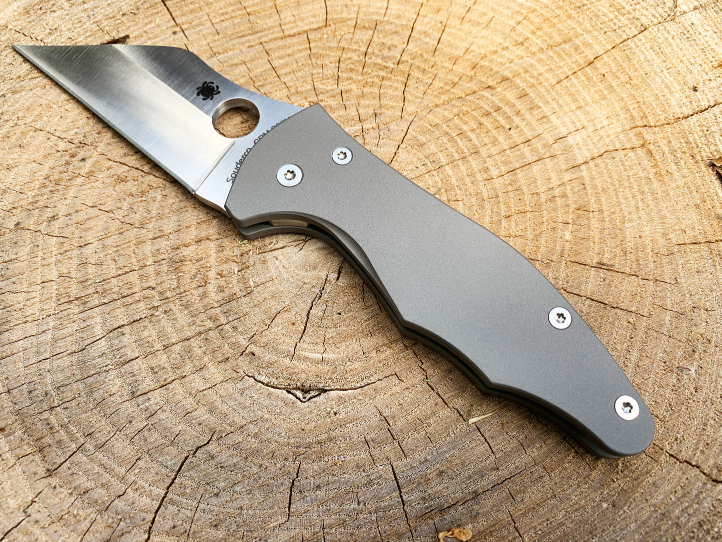 Titanium Scales for Yojimbo 2